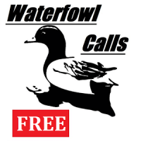 Waterfowl Calls