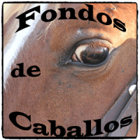 Fondos de pantalla de Caballos