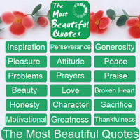The Most Beautiful Quotes
