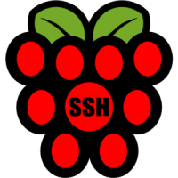 Raspberry SSH Custom Buttons