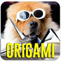 Origami Guide App in HD