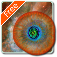 Conway's Free Cosmic Life
