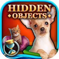 Hidden Objects