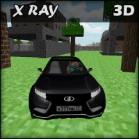 Driver Steve: XRay