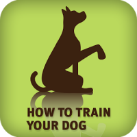 How to Train Your Dog