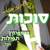 Sukkot