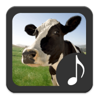 Cow Sounds