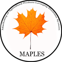 Maples (Trial Version)