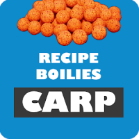 Recipe Boilie Carp - 2019