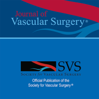 Journal of Vascular Surgery