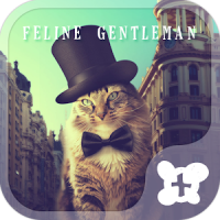Cute Theme-Feline Gentleman-