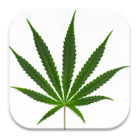 Hemp Cannabis Wallpaper