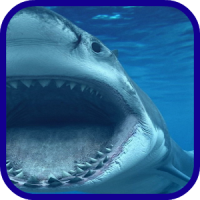 mar azul tiburón