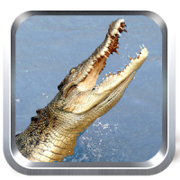 Wild Crocodile Simulator Free