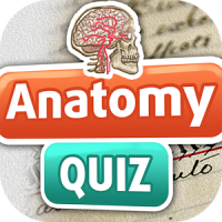 Anatomía Humana Quiz Divertido