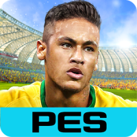 PES COLLECTION