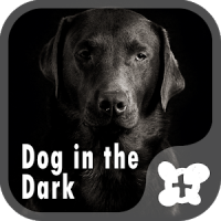 Wallpaper-Dog in the Dark-