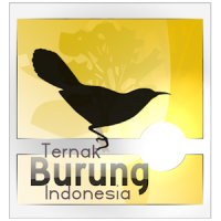 Ternak Burung Indonesia