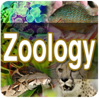 zoologie