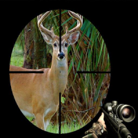 juego de caza de ciervos 2018; disparos salvajes