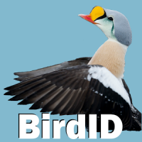 BirdID