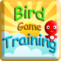 Bird Games Training