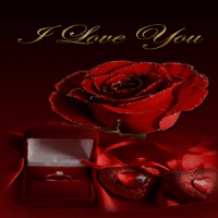 Red Rose Gift LWP