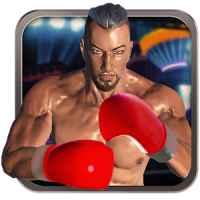 Real 3D Бокс Удар