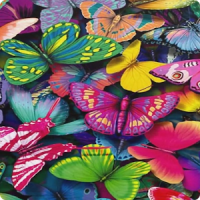 Butterfly Live Wallpaper HD 5