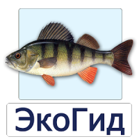 EcoGuide: Russian Fish