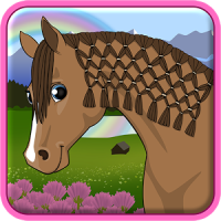 Horse Care - Mane Braiding - Animal Spa