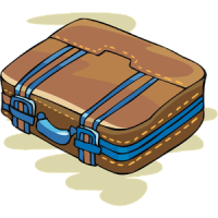 Suitcase Luggage List