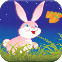 Rabbit Running Games