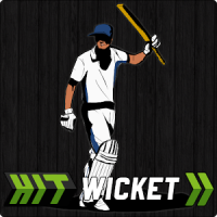 Hit Wicket Cricket - English County League Game