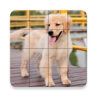 Cute Dogs Puzzle