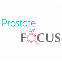 Prostate In Focus