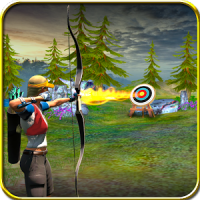 Archery 3D Game 2016