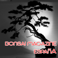 Bonsai Magazine España