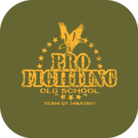 Pro Fighting Old School