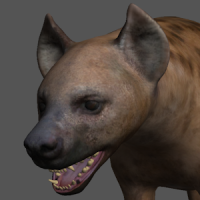 Hyena Pose Tool 3D