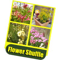 Flower Shuffle