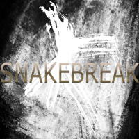 SnakeBreak