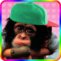 Sweet monkey to dress