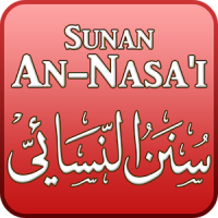 Sunan an Nasai Terjemahan Indonesian Free