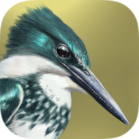 iBird Lite Free Guide to Birds