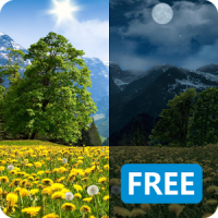 Summer Dandelion Live Wallpaper FREE