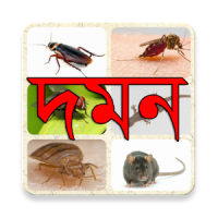 ঘরবাড়ি থেকে পোকামাকড় দমন - Remove Insect from Home