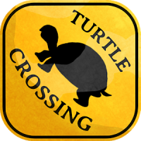 Turtle Crossing