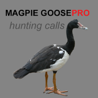 Magpie Goose Calls for Hunting