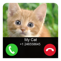 Fake Call Cat Joke